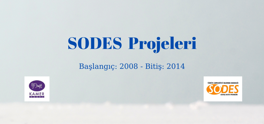 SODES Projeleri 2008-2014